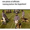 rareofficials[1].jpg