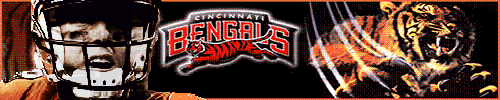 bengals1.gif